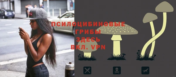 метамфетамин Ельня