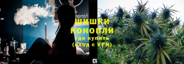 мет Дмитриев
