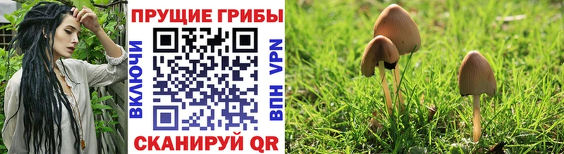 Псилоцибиновые грибы мухоморы  Свободный 