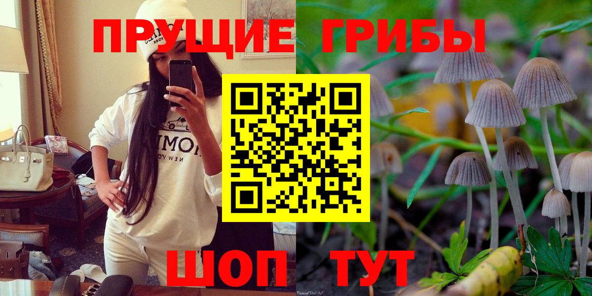 Псилоцибиновые грибы мухоморы  Вход с VPN  наркошоп  Галлюциногенные грибы прущие грибы  Свободный 