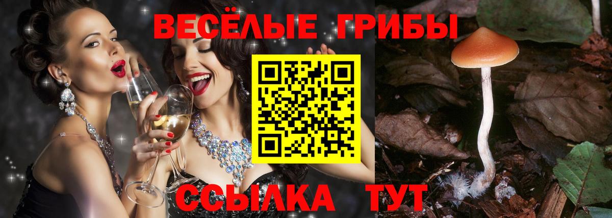 Псилоцибиновые грибы прущие грибы Свободный